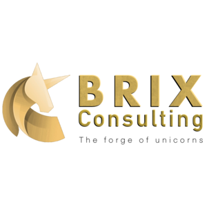 Brix Consulting
